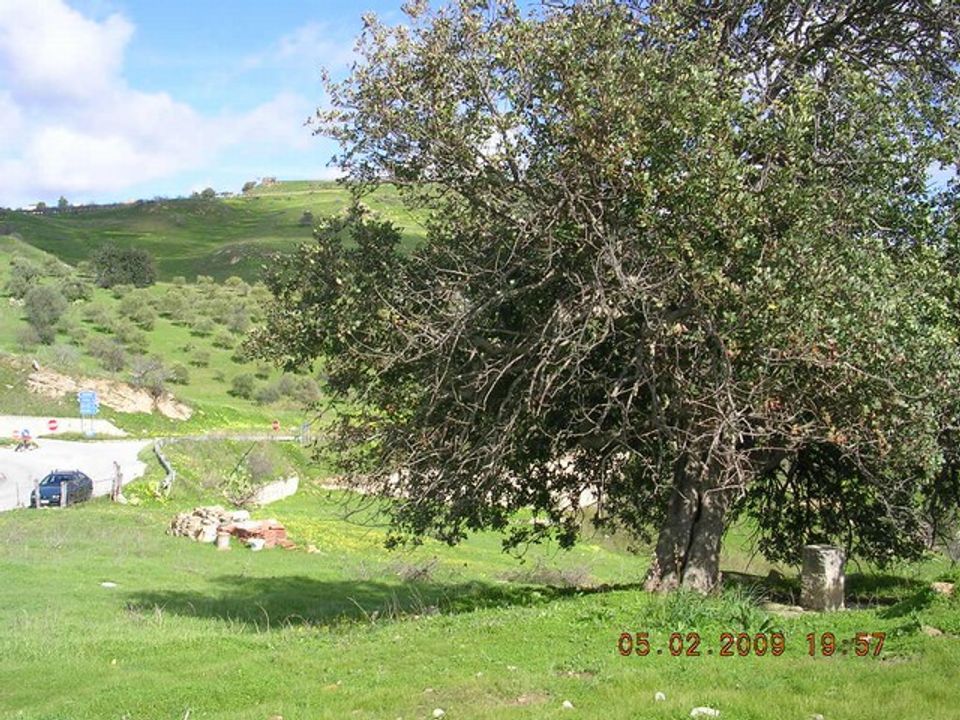 Helårsgrund i Cianciana, Agrigento - foto 5
